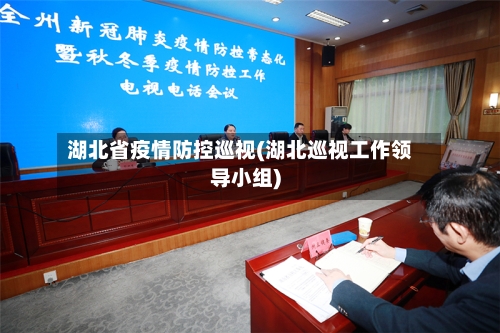 湖北省疫情防控巡视(湖北巡视工作领导小组)-第2张图片