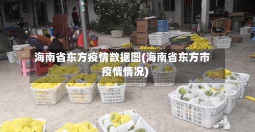 海南省东方疫情数据图(海南省东方市疫情情况)-第2张图片