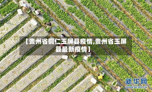 【贵州省铜仁玉屏县疫情,贵州省玉屏县最新疫情】-第2张图片