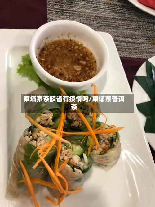 柬埔寨茶胶省有疫情吗/柬埔寨普洱茶-第1张图片