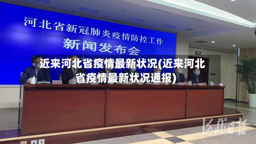 近来河北省疫情最新状况(近来河北省疫情最新状况通报)-第2张图片