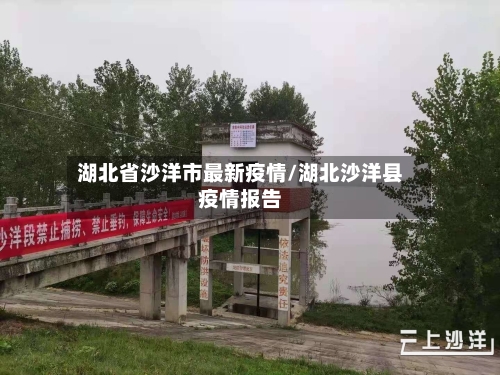 湖北省沙洋市最新疫情/湖北沙洋县疫情报告-第3张图片