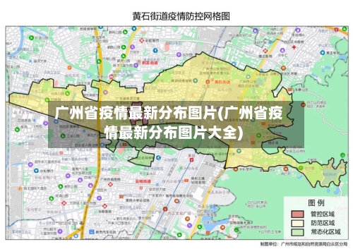 广州省疫情最新分布图片(广州省疫情最新分布图片大全)-第3张图片