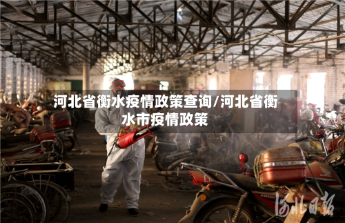 河北省衡水疫情政策查询/河北省衡水市疫情政策-第3张图片