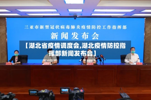 【湖北省疫情调度会,湖北疫情防控指挥部新闻发布会】-第2张图片