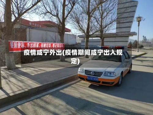疫情咸宁外出(疫情期间咸宁出入规定)-第1张图片
