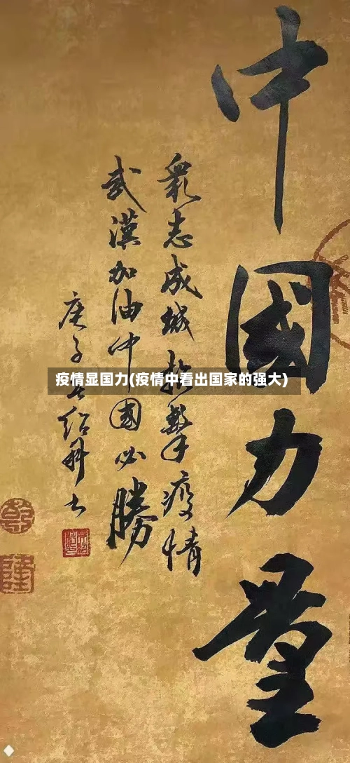 疫情显国力(疫情中看出国家的强大)-第1张图片