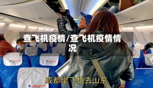 查飞机疫情/查飞机疫情情况-第1张图片