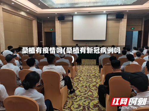 桑植有疫情吗(桑植有新冠病例吗)-第1张图片