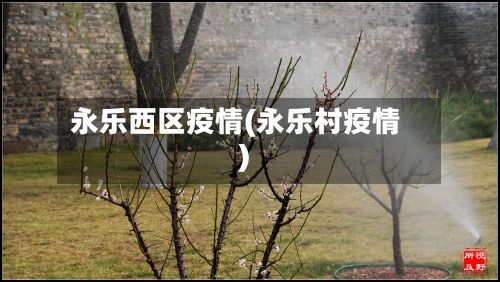永乐西区疫情(永乐村疫情)-第2张图片