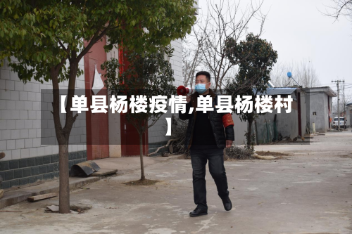 【单县杨楼疫情,单县杨楼村】-第2张图片