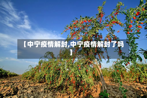 【中宁疫情解封,中宁疫情解封了吗】-第1张图片