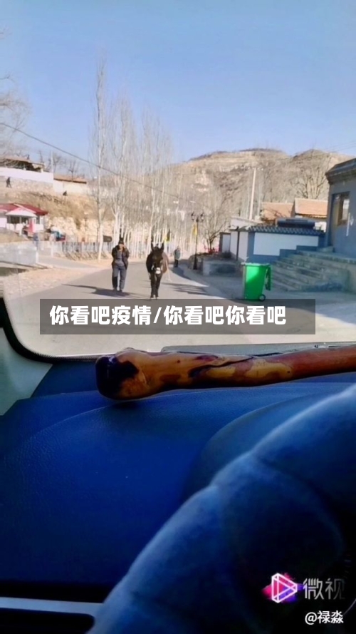 你看吧疫情/你看吧你看吧-第1张图片