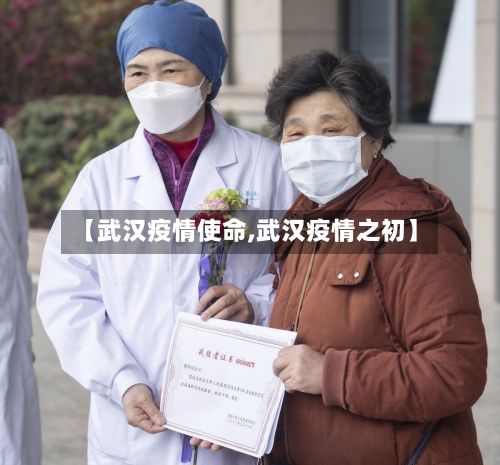 【武汉疫情使命,武汉疫情之初】-第1张图片