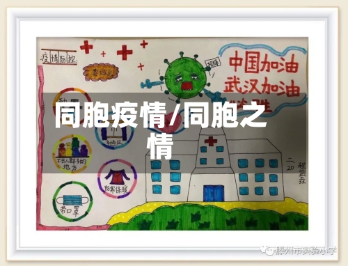 同胞疫情/同胞之情-第3张图片