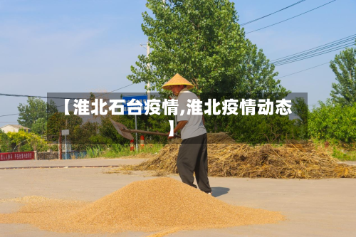 【淮北石台疫情,淮北疫情动态】-第3张图片
