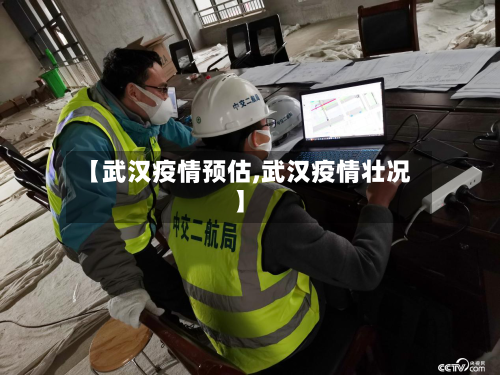 【武汉疫情预估,武汉疫情壮况】-第3张图片