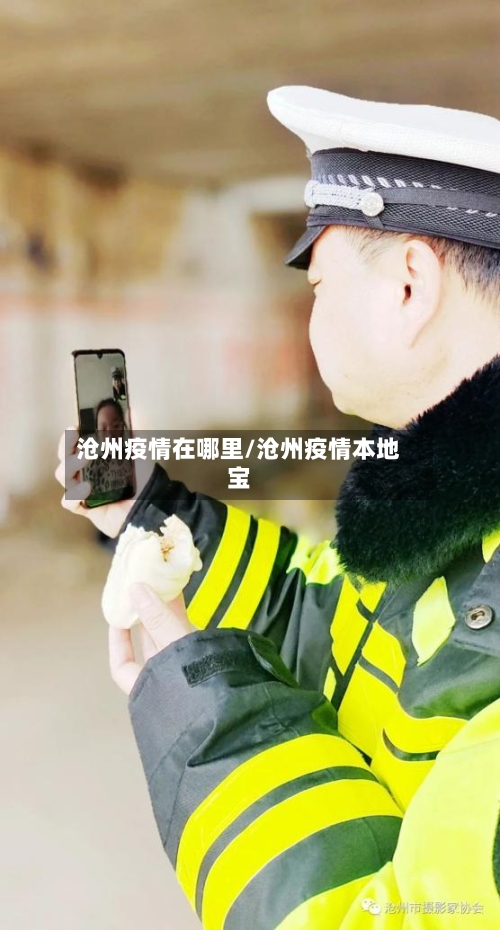 沧州疫情在哪里/沧州疫情本地宝-第2张图片