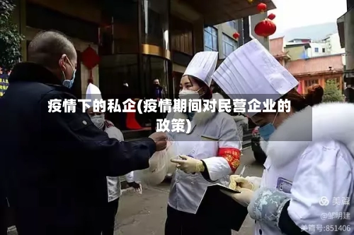 疫情下的私企(疫情期间对民营企业的政策)-第2张图片