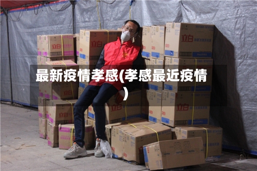 最新疫情孝感(孝感最近疫情)-第1张图片