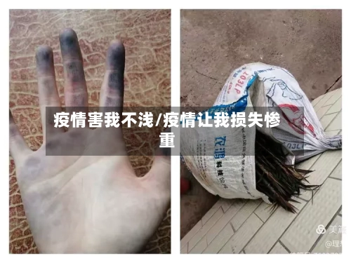 疫情害我不浅/疫情让我损失惨重-第2张图片
