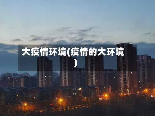 大疫情环境(疫情的大环境)-第2张图片