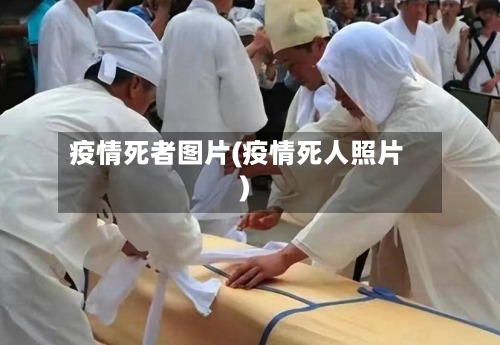 疫情死者图片(疫情死人照片)-第2张图片