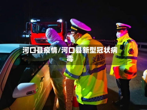 河口县疫情/河口县新型冠状病毒-第3张图片