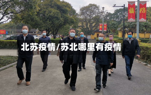 北苏疫情/苏北哪里有疫情-第1张图片