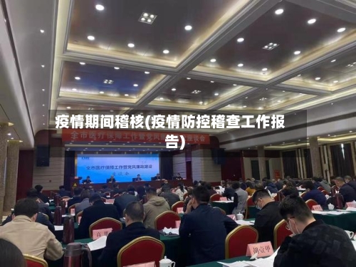 疫情期间稽核(疫情防控稽查工作报告)-第3张图片