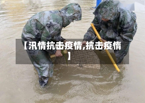 【汛情抗击疫情,抗击疫惰】-第1张图片