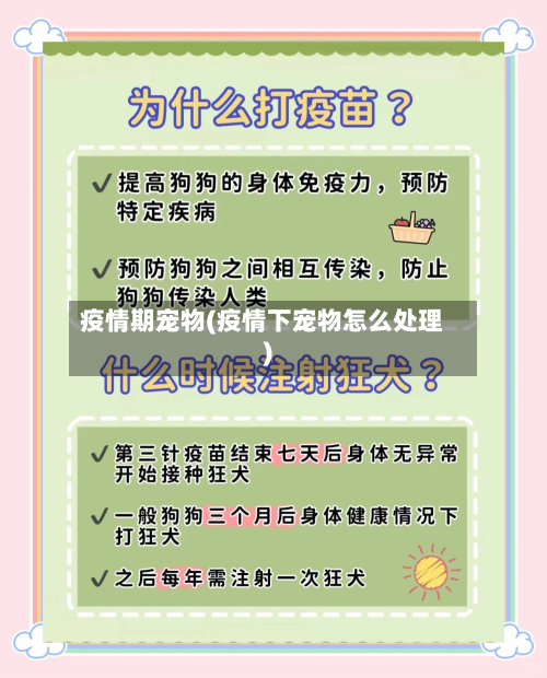 疫情期宠物(疫情下宠物怎么处理)-第2张图片