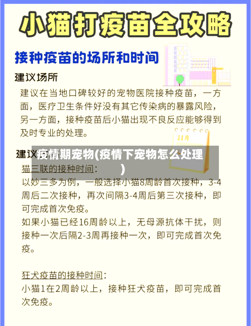 疫情期宠物(疫情下宠物怎么处理)-第1张图片