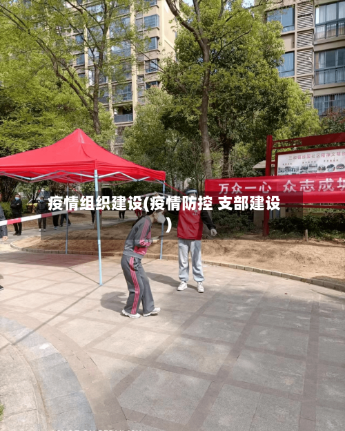 疫情组织建设(疫情防控 支部建设)-第1张图片