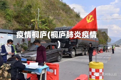疫情桐庐(桐庐肺炎疫情)-第2张图片