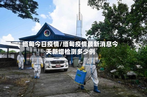 缅甸今日疫情/缅甸疫情最新消息今天新增检测多少例-第2张图片