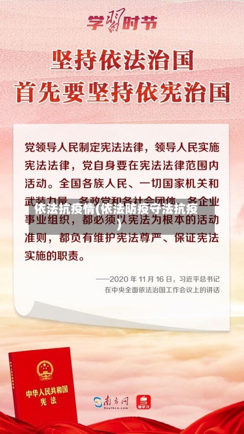依法抗疫情(依法防疫守法抗疫)-第2张图片