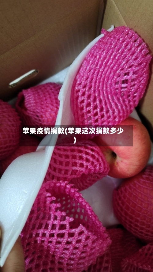 苹果疫情捐款(苹果这次捐款多少)-第1张图片