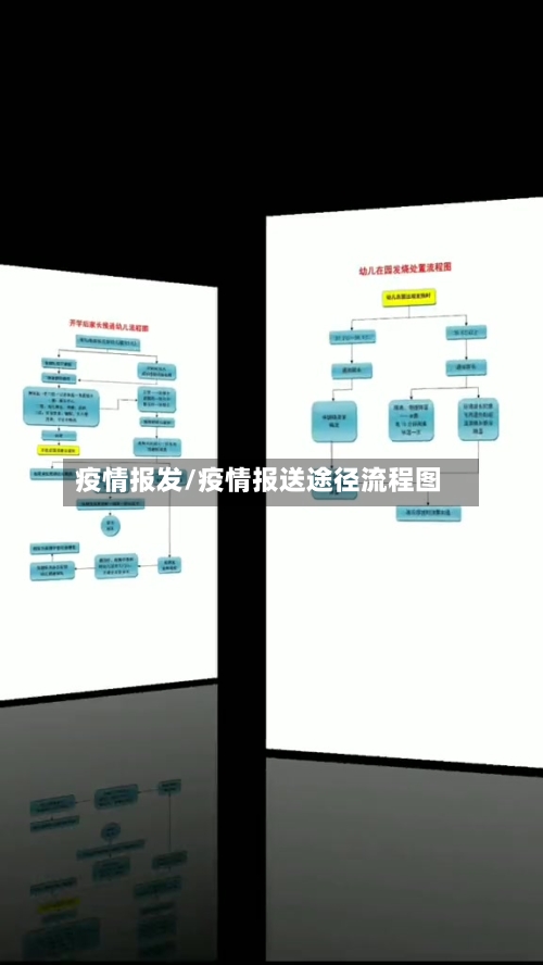 疫情报发/疫情报送途径流程图-第1张图片