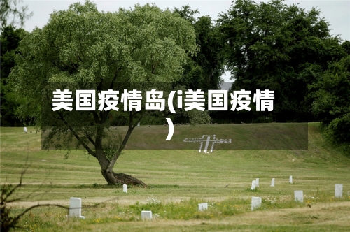 美国疫情岛(i美国疫情)-第3张图片