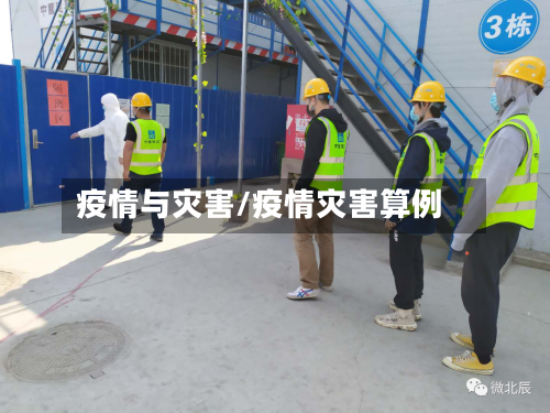 疫情与灾害/疫情灾害算例-第3张图片