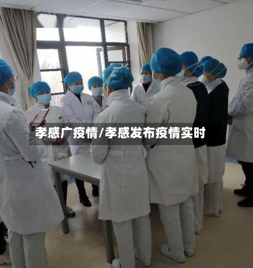 孝感广疫情/孝感发布疫情实时-第1张图片