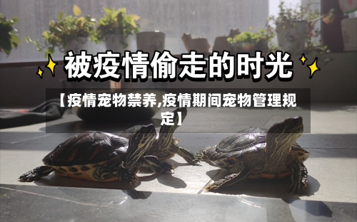 【疫情宠物禁养,疫情期间宠物管理规定】-第1张图片
