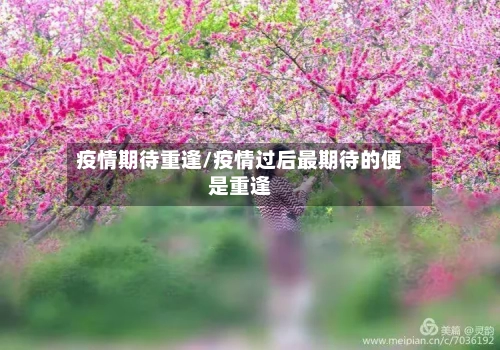 疫情期待重逢/疫情过后最期待的便是重逢-第1张图片