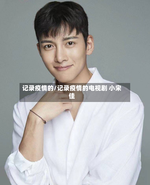 记录疫情的/记录疫情的电视剧 小宋佳-第2张图片