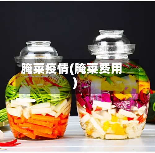 腌菜疫情(腌菜费用)-第1张图片
