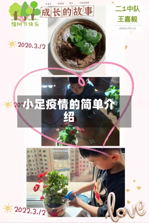 小足疫情的简单介绍-第1张图片