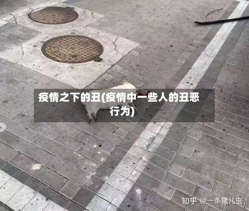 疫情之下的丑(疫情中一些人的丑恶行为)-第1张图片