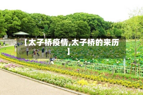 【太子桥疫情,太子桥的来历】-第1张图片