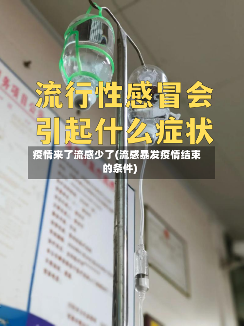 疫情来了流感少了(流感暴发疫情结束的条件)-第1张图片